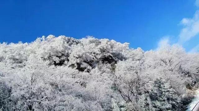 小猫钓鱼正版下载中文版