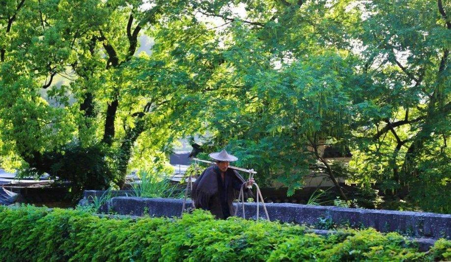 信阳毛尖什么品牌好游戏画面