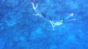 你能逃离此地吗