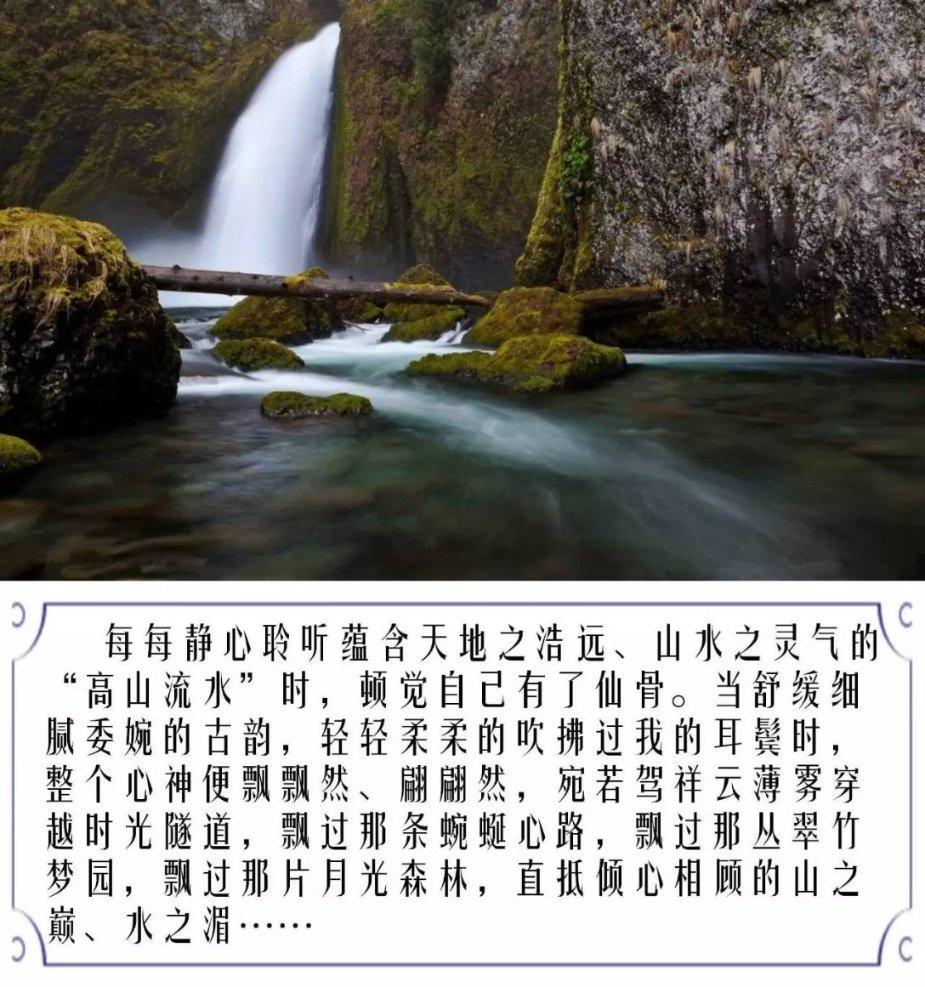 逃离龙的圣地