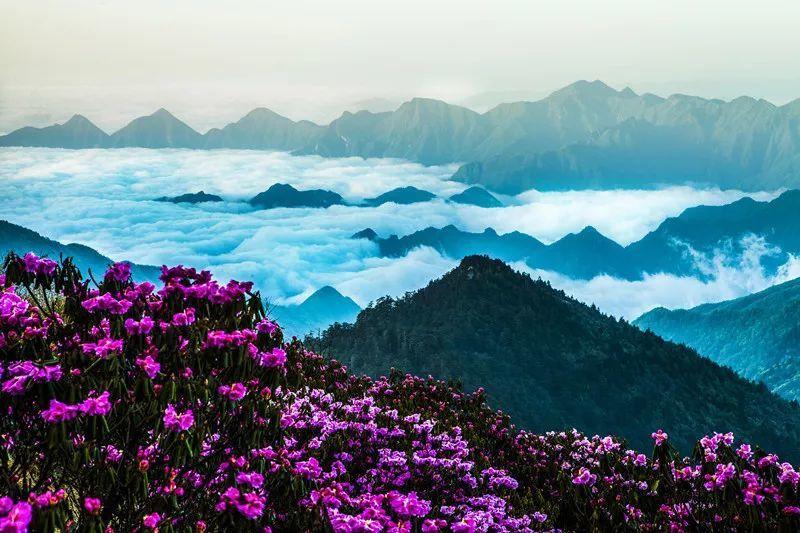 牛油果面包