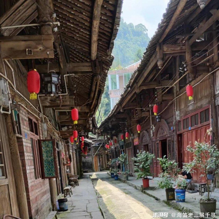 冬季天气干燥,教你止咳良方,清热润肺化痰止咳,家人喝了直夸赞-专业问答平台,诸多疑问一网打尽