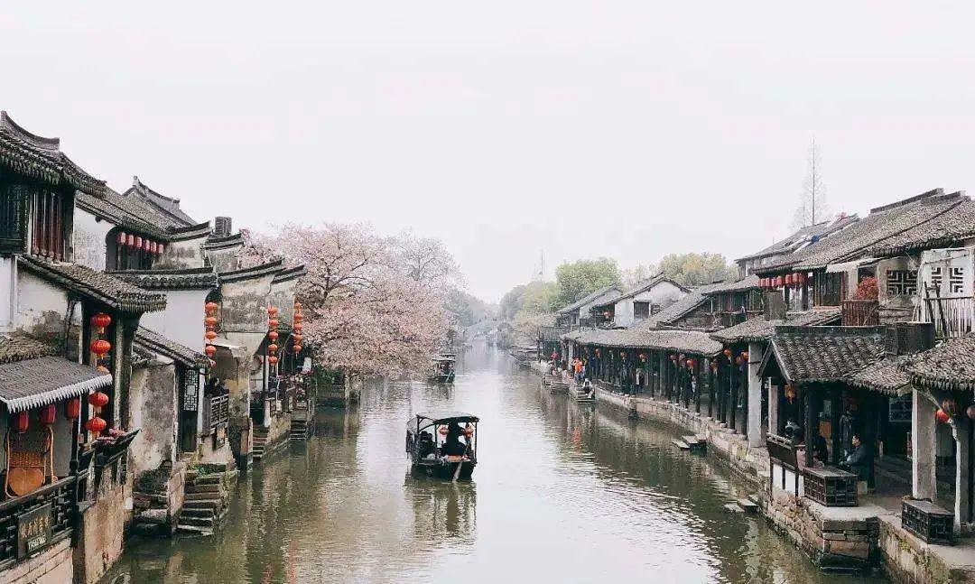 橡木和松木哪个贵游戏画面